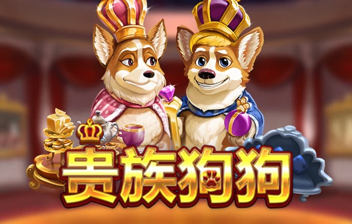 im电竞官网登录入口